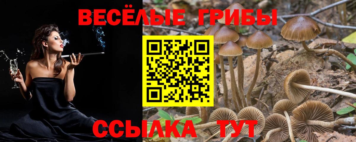 Галлюциногенные грибы мухоморы Усолье-Сибирское
