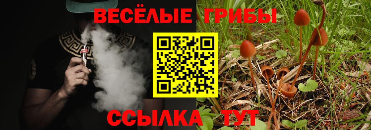 Усолье-Сибирское  Галлюциногенные грибы GOLDEN TEACHER  Вход с VPN 